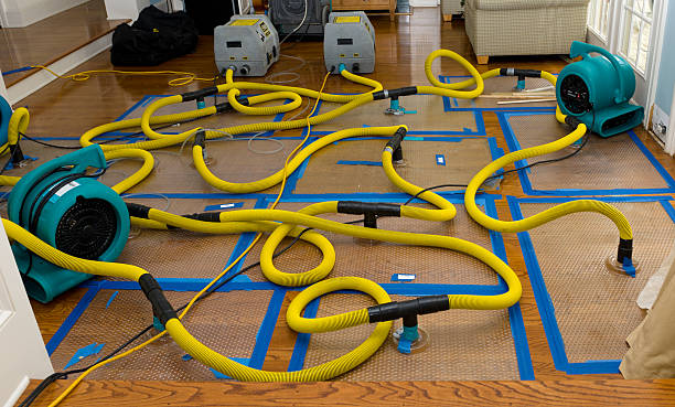 Professional Basement Flood Cleanup technician working in Farmington, UT